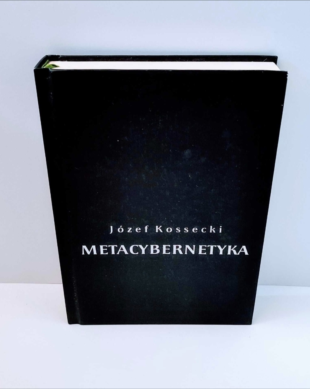 Metacybernetyka
